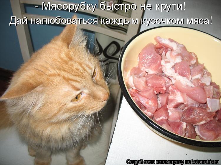 Котоматрица: - Мясорубку быстро не крути! Дай налюбоваться каждым кусочком мяса!