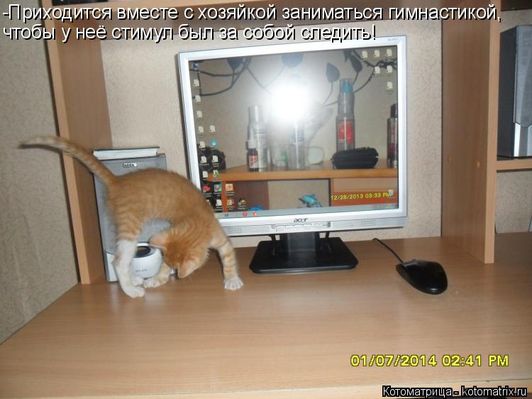 Котоматрица: -Приходится вместе с хозяйкой заниматься гимнастикой, чтобы у неё стимул был за собой следить!