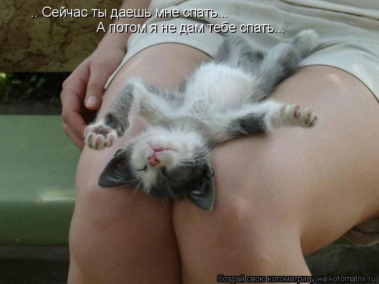 Котоматрица: .. Сейчас ты даешь мне спать... А потом я не дам тебе спать...