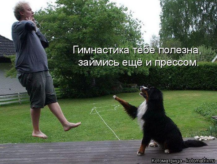 Котоматрица: Гимнастика тебе полезна, займись ещё и прессом.