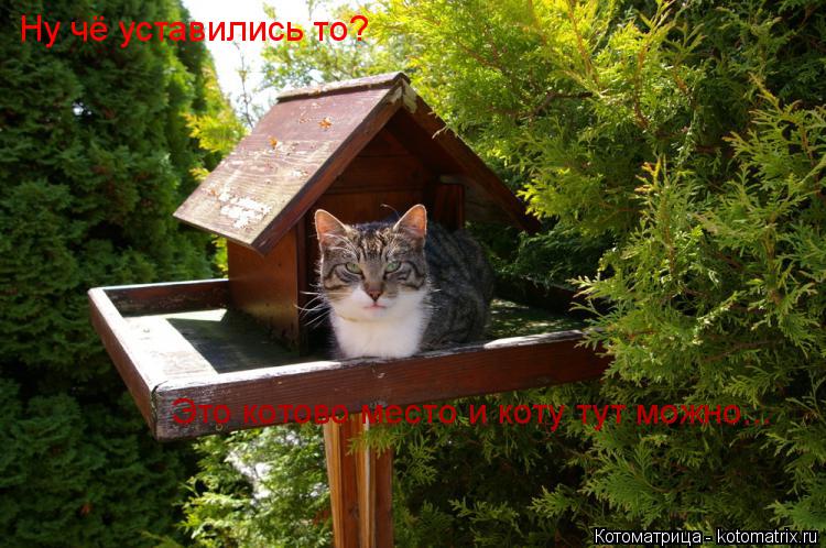 Котоматрица: Ну чё уставились то? Это котово место и коту тут можно...