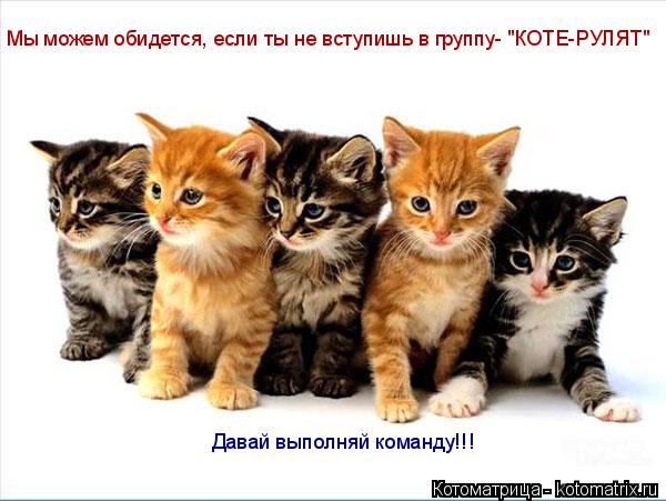 Мы можем обидется, если ты не вступишь в группу- "КОТЕ-РУЛЯТ" Давай выполняй команду!!!... Котоматрица: Мы можем обидется, если ты не вступишь в группу- "КОТЕ-РУЛЯТ" Давай выполняй команду!!!