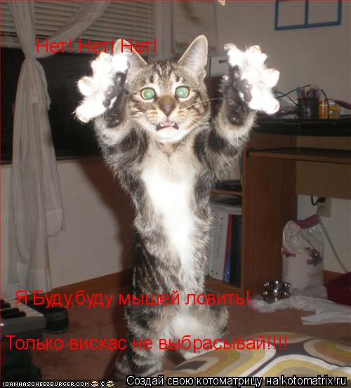 Котоматрица: Нет! Нет! Нет! Я Буду,буду мышей ловить! Только вискас не выбрасывай!!!!