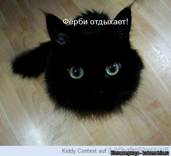 Котоматрица: Фёрби отдыхает!