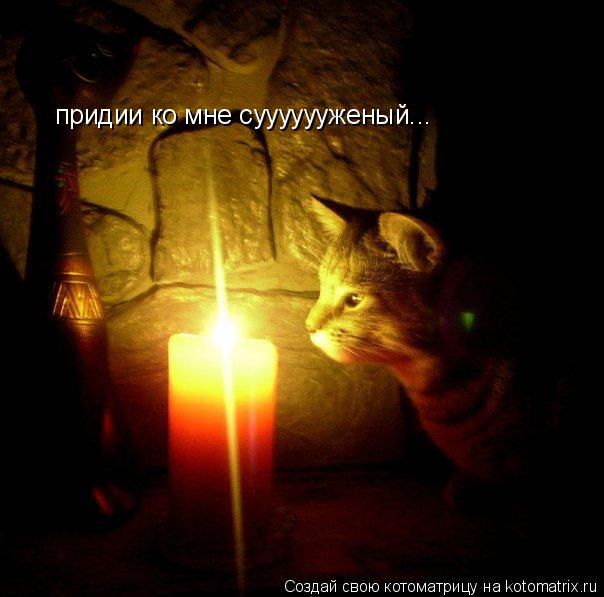 Котоматрица: придии ко мне сууууууженый...