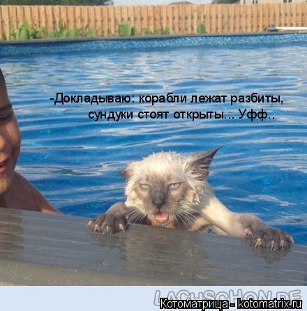 Котоматрица: -Докладываю: корабли лежат разбиты, сундуки стоят открыты... Уфф..
