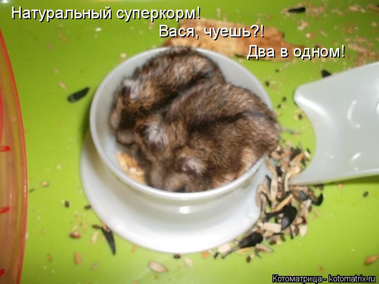 Котоматрица: Натуральный суперкорм! Вася, чуешь?! Два в одном!