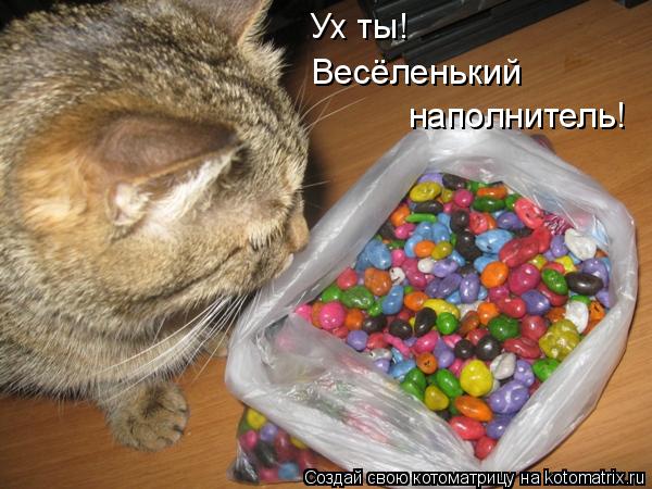 Котоматрица: Ух ты! Весёленький наполнитель!