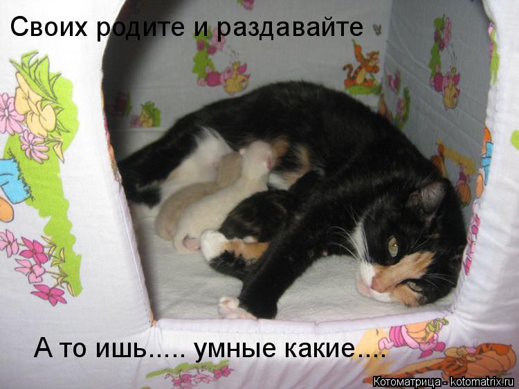 Котоматрица: Своих родите и раздавайте А то ишь..... умные какие....
