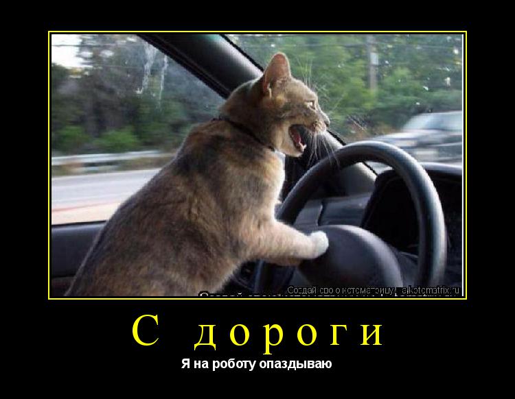 Котоматрица: С дороги Я на роботу опаздываю