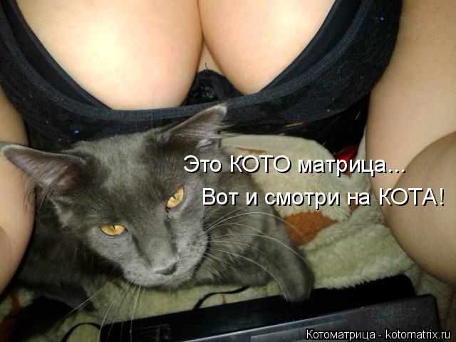 Это КОТО матрица... Вот и смотри на КОТА!... Котоматрица: Это КОТО матрица... Вот и смотри на КОТА!