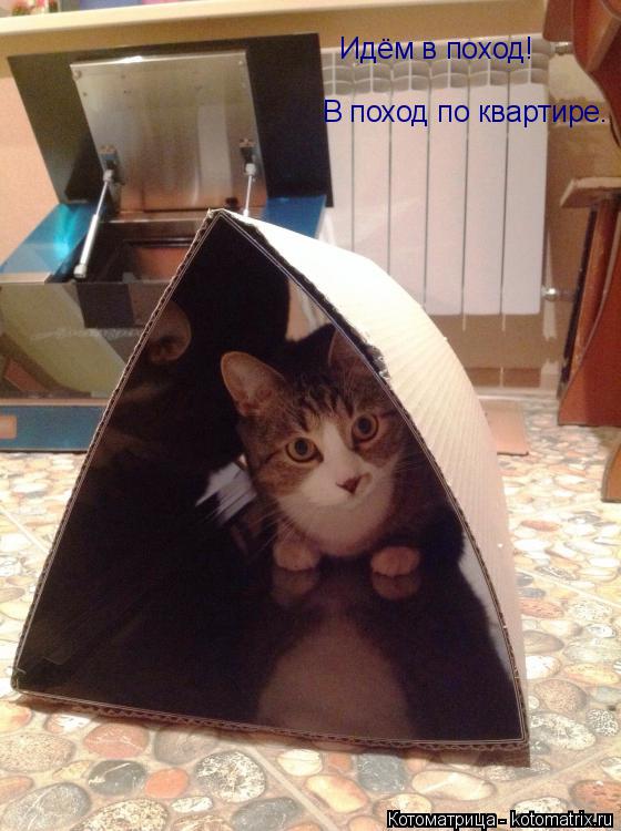 Идём в поход! В поход по квартире.... Котоматрица: Идём в поход! В поход по квартире.