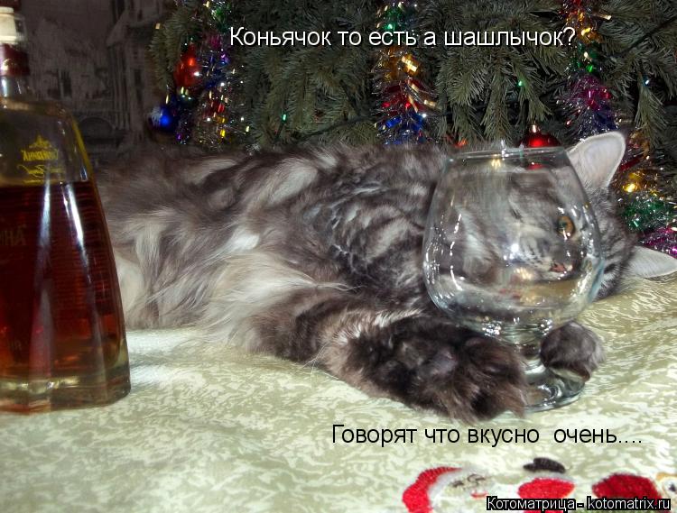 ПЕСНЯ КОНЬЯЧОК ПОД ШАШЛЫЧОК ВКУСНО ОЧЕНЬ СКАЧАТЬ БЕСПЛАТНО ПЕСНЯ КОНЬЯЧОК ПОД ШАШЛЫЧОК ВКУСНО ОЧЕНЬ СКАЧАТЬ БЕСПЛАТНО