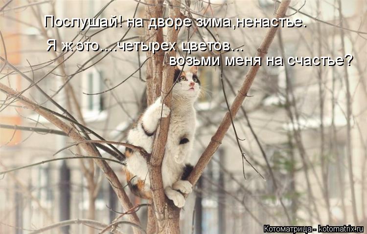 Котоматрица: Послушай! на дворе зима,ненастье. Я ж это....четырех цветов... возьми меня на счастье?