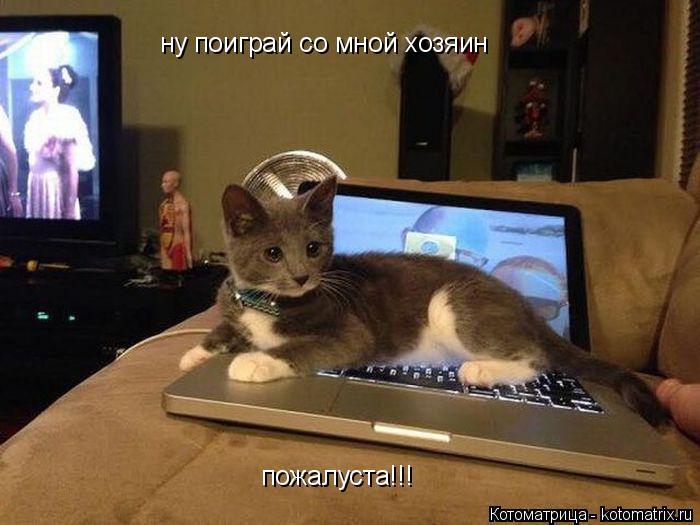 Котоматрица: ну поиграй со мной хозяин пожалуста!!!