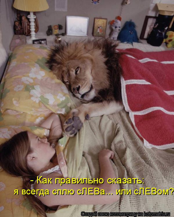 Котоматрица: - Как правильно сказать:  я всегда сплю сЛЕВа... или сЛЕВом?