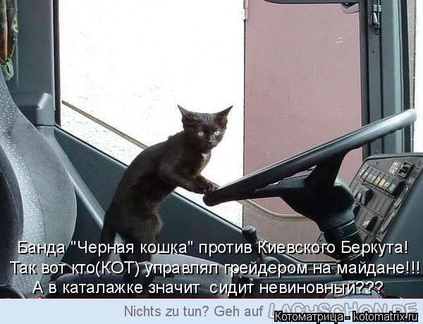 Котоматрица: Так вот кто(КОТ) управлял грейдером на майдане!!! Банда "Черная кошка" против Киевского Беркута! А в каталажке значит  сидит невиновный???