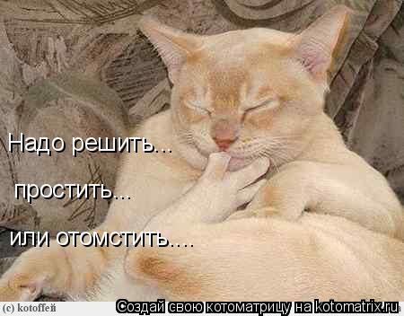 Надо решить... простить... или отомстить....... Котоматрица: Надо решить... простить... или отомстить....