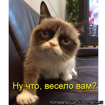 Котоматрица: Ну что, весело вам?