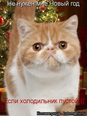 Не нужен мне Новый год Если холодильник пустой(((... Котоматрица: Не нужен мне Новый год Если холодильник пустой(((