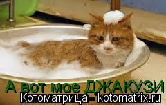 Котоматрица: А вот мое ДЖАКУЗИ