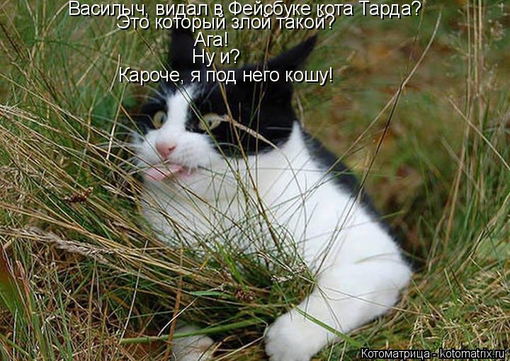 Василыч, видал в Фейсбуке кота Тарда? Это который злой такой? Ага! Ну и? Кароче, я под него кошу!... Котоматрица: Василыч, видал в Фейсбуке кота Тарда? Это который злой такой? Ага! Ну и? Кароче, я под него кошу!