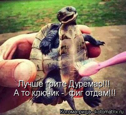Котоматрица: Лучше трите Дуремар!!! А то ключик -  фиг отдам!!!