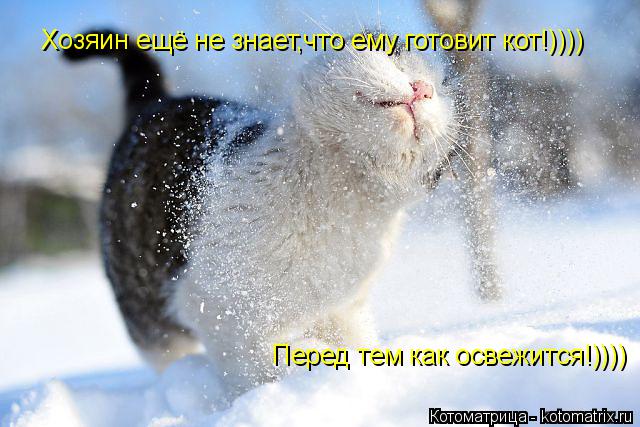 Хозяин ещё не знает,что ему готовит кот!)))) Перед тем как освежится!))))... Котоматрица: Хозяин ещё не знает,что ему готовит кот!)))) Перед тем как освежится!))))