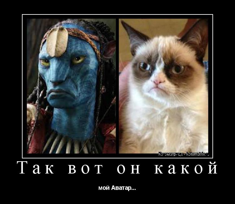 Котоматрица: Так вот он какой мой Аватар...