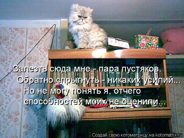 Залезть сюда мне - пара пустяков. Обратно спрыгнуть - никаких усилий... способностей моих не оценили.... Котоматрица: Залезть сюда мне - пара пустяков. Обратно спрыгнуть - никаких усилий... способностей моих не оценили... Но не могу понять я, отчего