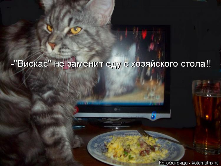-"Вискас" не заменит еду с хозяйского стола!!... Котоматрица: -"Вискас" не заменит еду с хозяйского стола!!