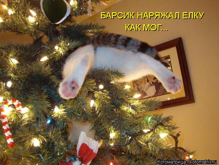 Котоматрица: БАРСИК НАРЯЖАЛ ЕЛКУ КАК МОГ...
