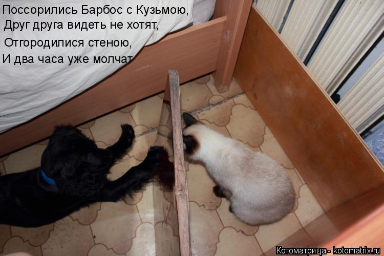 Поссорились Барбос с Кузьмою, Друг друга видеть не хотят, Отгородилися стеною, И два часа уже молчат... Котоматрица: Поссорились Барбос с Кузьмою, Друг друга видеть не хотят, Отгородилися стеною, И два часа уже молчат