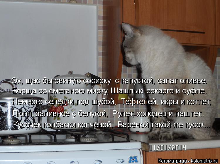 Эх, щас бы свиную сосиску c капустой, салат оливье. Борща со сметаною миску, Шашлык, эскарго и суфл... Котоматрица: Эх, щас бы свиную сосиску c капустой, салат оливье. Борща со сметаною миску, Шашлык, эскарго и суфле. Немного селёдки под шубой, Тефтелей, ик