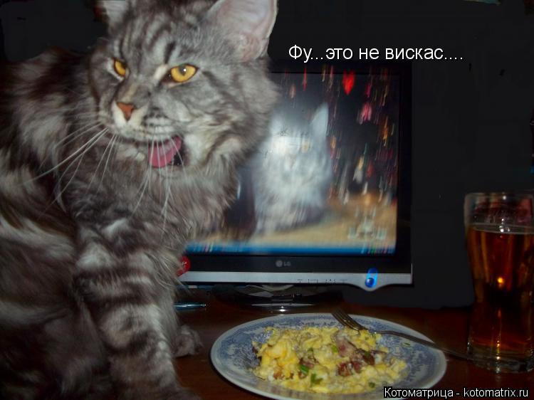 Котоматрица: Фу...это не вискас....