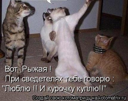 Вот ,Рыжая ! При сведетелях тебе говорю : "Люблю !! И курочку куплю!!"... Котоматрица: Вот ,Рыжая ! При сведетелях тебе говорю : "Люблю !! И курочку куплю!!"