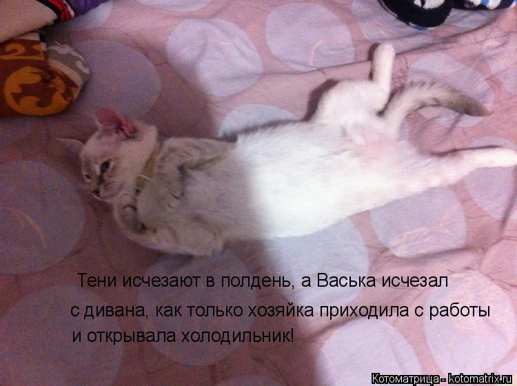 Тени исчезают в полдень, а Васька исчезал с дивана, как только хозяйка приходила с работы и открывала... Котоматрица: Тени исчезают в полдень, а Васька исчезал с дивана, как только хозяйка приходила с работы и открывала холодильник!
