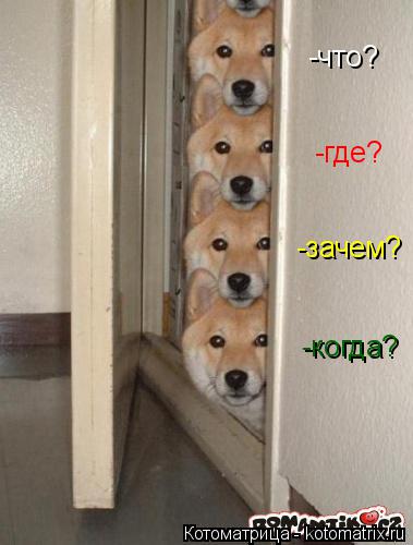 -что? -где? -зачем? -когда?... Котоматрица: -что? -где? -зачем? -когда?