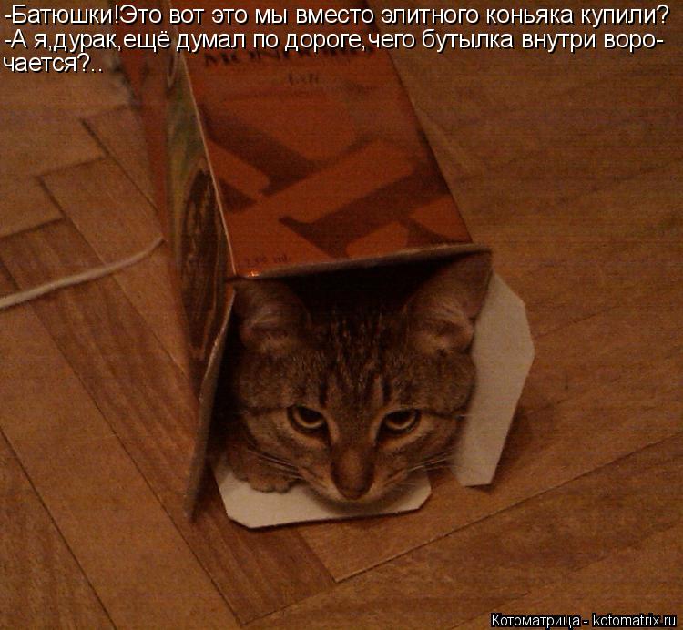 -Батюшки!Это вот это мы вместо элитного коньяка купили? -А я,дурак,ещё думал по дороге,чего бутылка в... Котоматрица: -Батюшки!Это вот это мы вместо элитного коньяка купили? -А я,дурак,ещё думал по дороге,чего бутылка внутри воро- чается?..