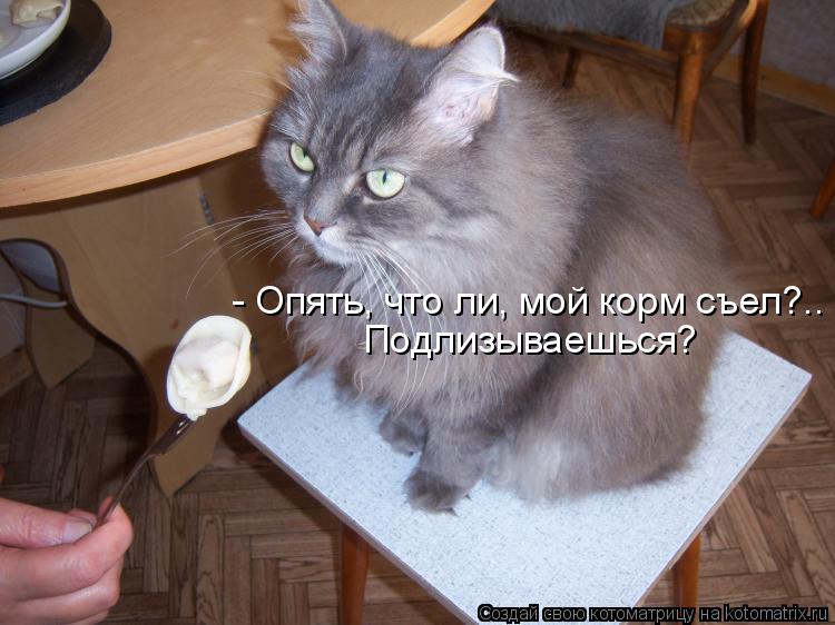 Котоматрица: - Опять, что ли, мой корм съел?.. Подлизываешься?