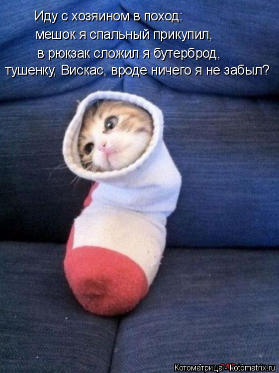 Иду с хозяином в поход: мешок я спальный прикупил, в рюкзак сложил я бутерброд, тушенку, Вискас, врод... Котоматрица: Иду с хозяином в поход: мешок я спальный прикупил, в рюкзак сложил я бутерброд, тушенку, Вискас, вроде ничего я не забыл?