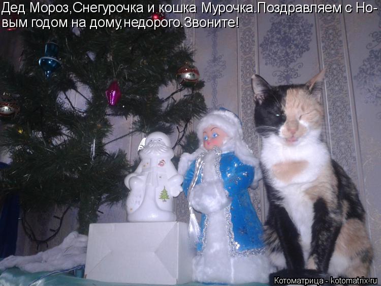Дед Мороз,Снегурочка и кошка Мурочка.Поздравляем с Но- вым годом на дому,недорого.Звоните!... Котоматрица: Дед Мороз,Снегурочка и кошка Мурочка.Поздравляем с Но- вым годом на дому,недорого.Звоните!