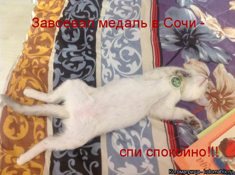Завоевал медаль в Сочи - спи спокойно!!!... Котоматрица: Завоевал медаль в Сочи - спи спокойно!!!