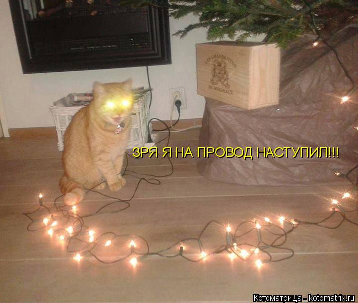 Котоматрица: ЗРЯ Я НА ПРОВОД НАСТУПИЛ!!!