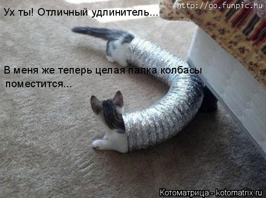Котоматрица: Ух ты! Отличный удлинитель... В меня же теперь целая палка колбасы поместится...
