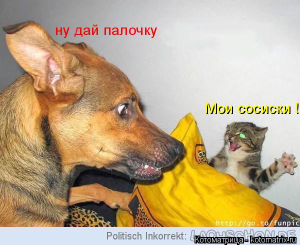 Мои сосиски ! ну дай палочку... Котоматрица: Мои сосиски ! ну дай палочку