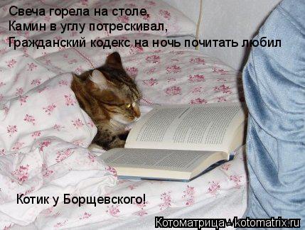 Свеча горела на столе, Камин в углу потрескивал, Гражданский кодекс на ночь почитать любил Котик у Бо... Котоматрица: Свеча горела на столе, Камин в углу потрескивал, Гражданский кодекс на ночь почитать любил Котик у Борщевского!