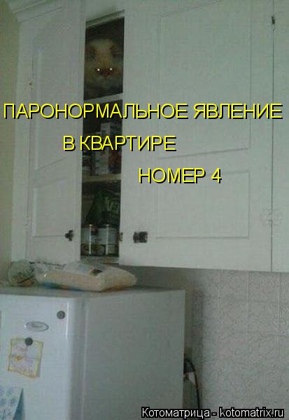 ПАРОНОРМАЛЬНОЕ ЯВЛЕНИЕ В КВАРТИРЕ НОМЕР 4... Котоматрица: ПАРОНОРМАЛЬНОЕ ЯВЛЕНИЕ В КВАРТИРЕ НОМЕР 4