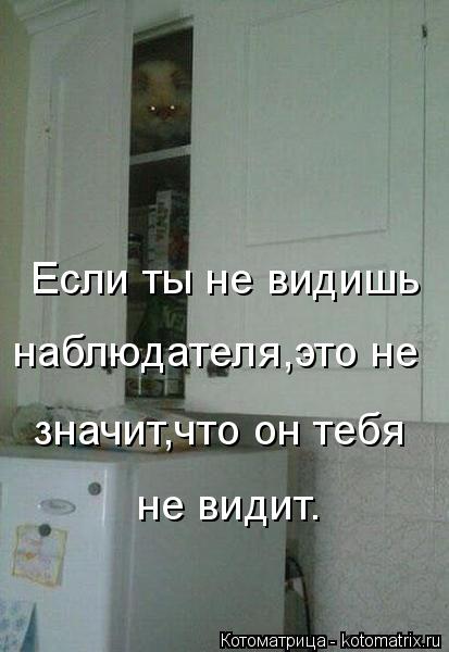 Котоматрица: Если ты не видишь наблюдателя,это не  значит,что он тебя не видит.