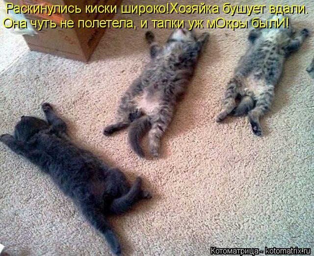 Котоматрица: Раскинулись киски широко!Хозяйка бушует вдали. Она чуть не полетела, и тапки уж мОкры былИ!